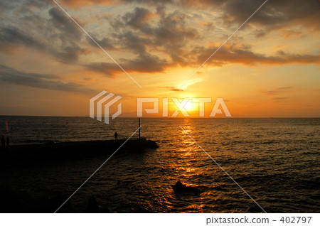 伊豆的黎明 402797