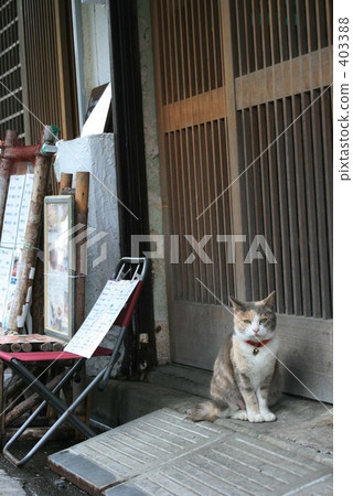 Signboard cat 403388