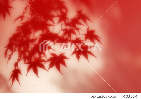 Autumn leaves 03 Autumn leaves 03 403554