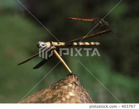 Scarecrow and dragonfly 403767