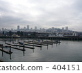 Scenery of the port San Francisco 404151