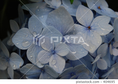 Rainy season 404695