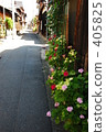Roadside flowers 405825