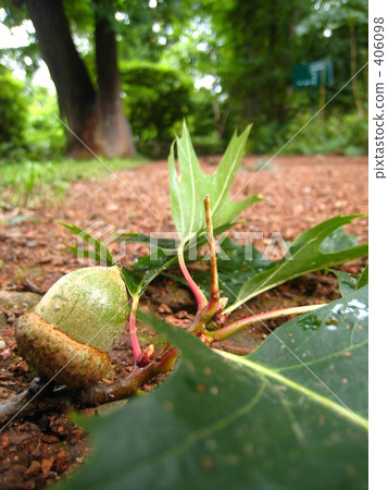 Autumn signs. 406098