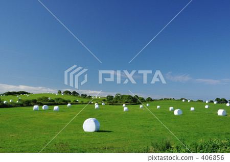 A gift from outer space A gift from outer space 406856