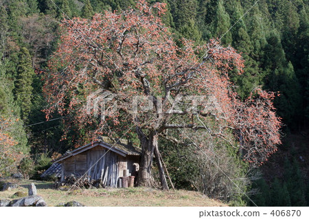 老小屋 老小屋 406870