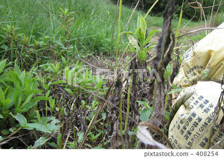 被遺棄的田地和肥料之路 408254