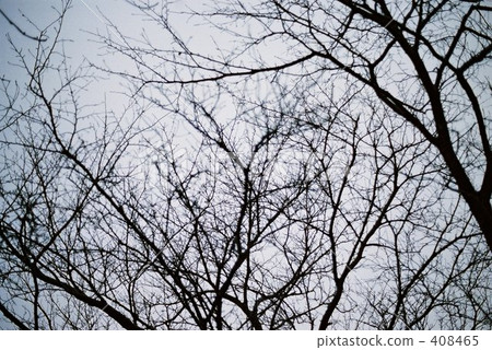 Edamoyou Edamoyou 408465