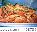 crab  408733