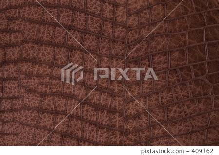 皮革圖像 409162