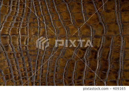 皮革圖像 409165