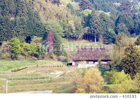 Scenery of Yamazato 410193