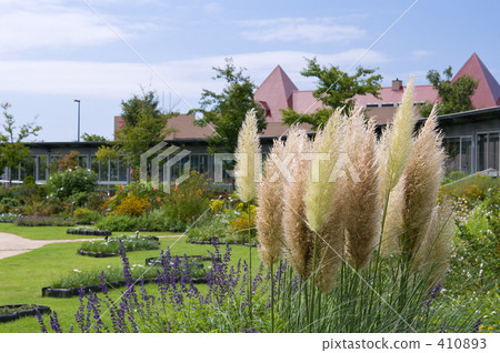 Panpasugurasu 410893