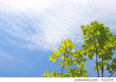 Early autumn sky Early autumn sky 411434