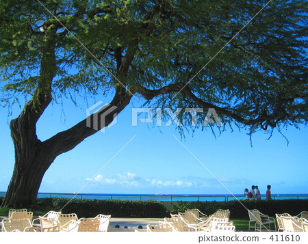 Everlasting islands 411610