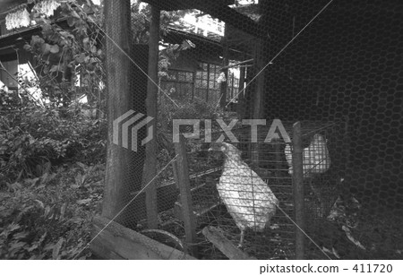 奧多摩·坦巴山村昭和47年 411720
