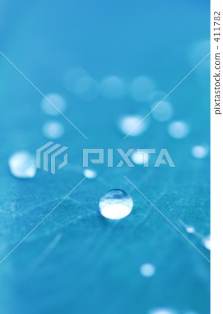 雨滴 水 水滴 411782
