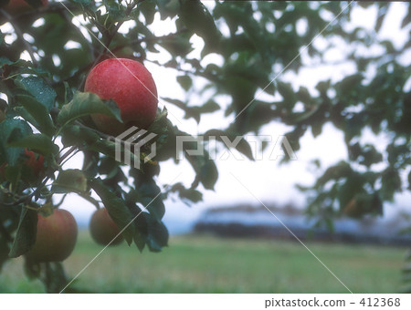 SL Aizu Tadami 412368