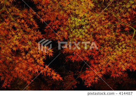 Overlapping autumn leaves Overlapping autumn leaves 414487