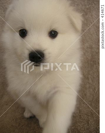 走路 走路 414671