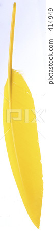 Feather feather pen Feather feather pen 414949