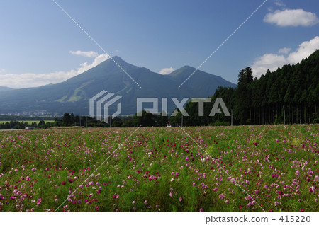 萬代和宇宙 415220