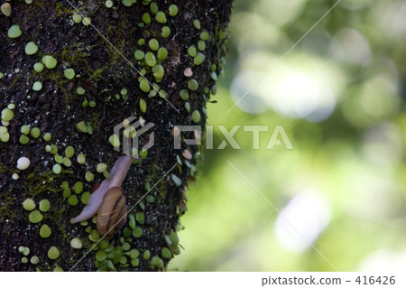 At ease At ease 416426