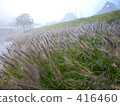 autumn 416460