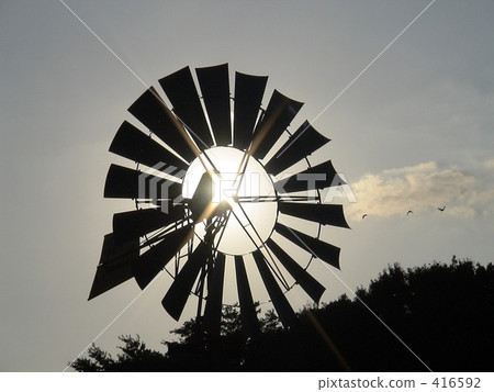 In the sunset 416592