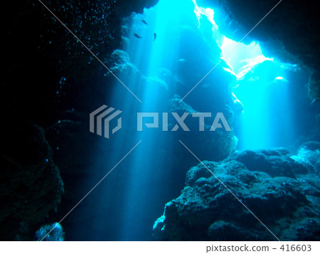 潛艇洞穴和熱帶魚 416603