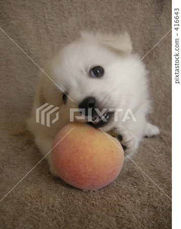 桃子，很好吃。 416643