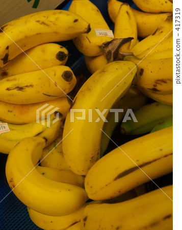 香蕉 417319