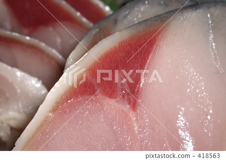 鯊魚鯖魚 418563