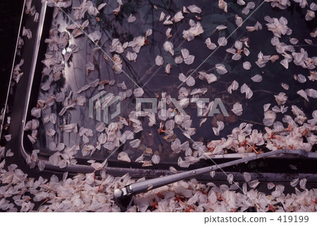 windshield windshield 419199