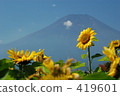 景點 風景名勝 向日葵 419601