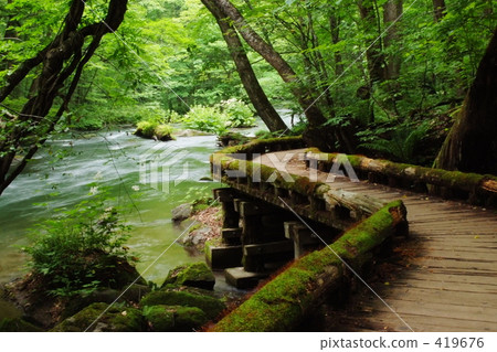 Oekase Stream Promenade 419676