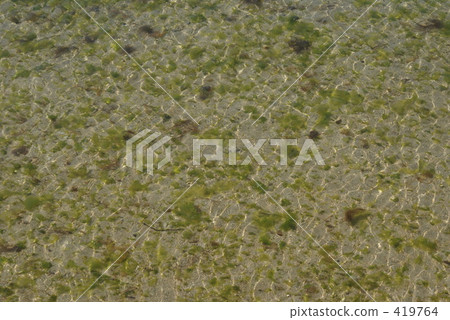 水 419764