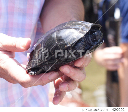 里夫 里夫 420092