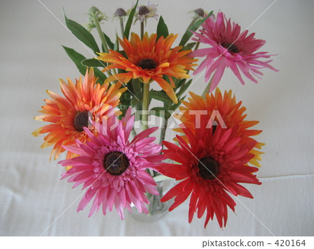 花 花 420164