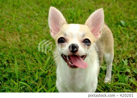 就是這樣! 就是這樣! 420201