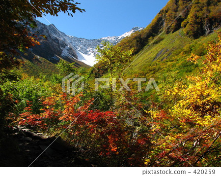 Fall of the North Alps 420259