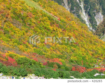 北阿爾卑斯山的秋天 420265