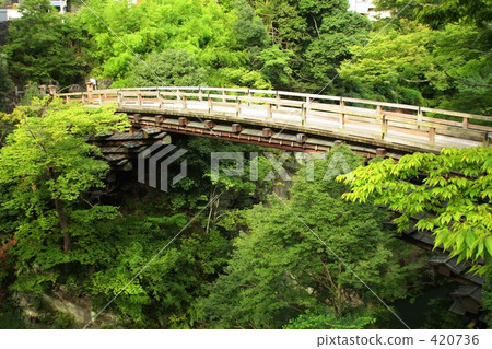 Saruibashi 420736