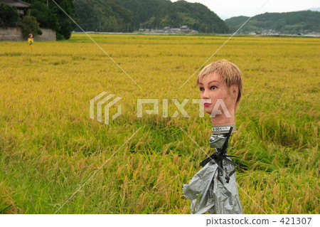 Ikemen稻草人 421307