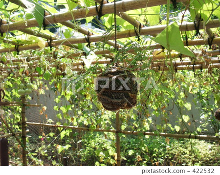 Hanaga葫蘆架遮陽 422532