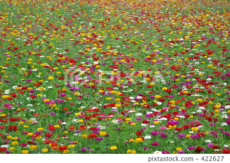 Hyakuninchi garden Hyakuninchi garden 422627