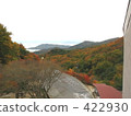 秋葉：小寺島漢字裡 422930