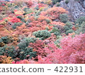 秋葉：小寺島漢字裡 422931