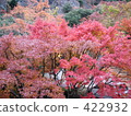 秋葉：小寺島漢字裡 422932