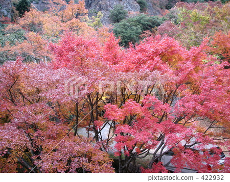 秋葉:小寺島漢字裡 秋葉:小寺島漢字裡 422932